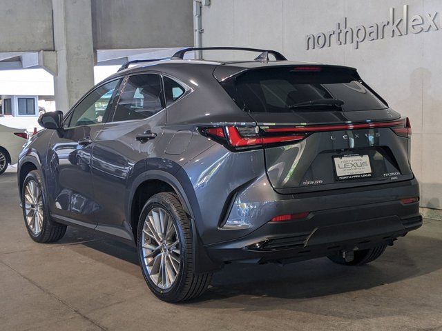 2023 Lexus NX 350h Luxury