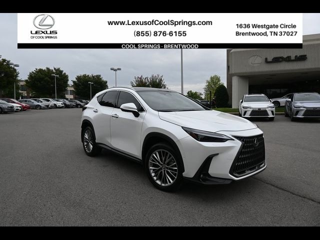 2023 Lexus NX 350h Luxury