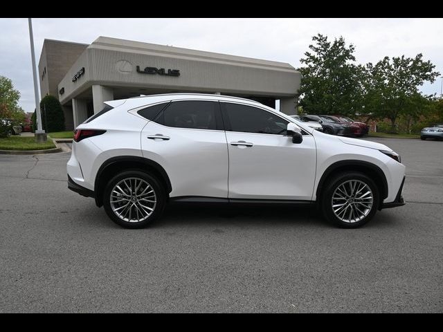 2023 Lexus NX 350h Luxury