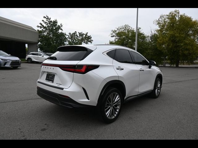 2023 Lexus NX 350h Luxury