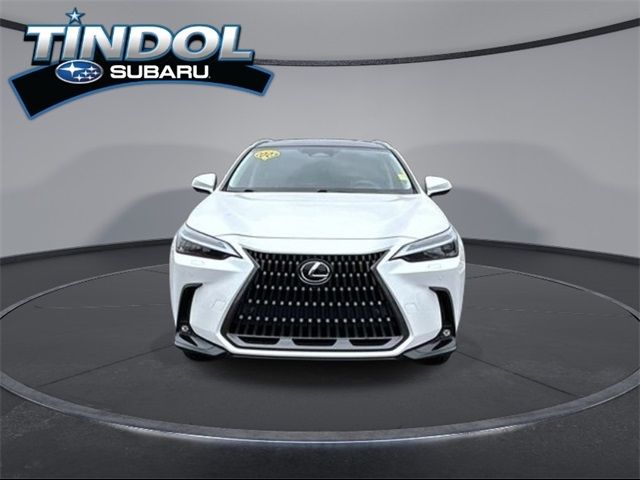 2023 Lexus NX 350h Luxury