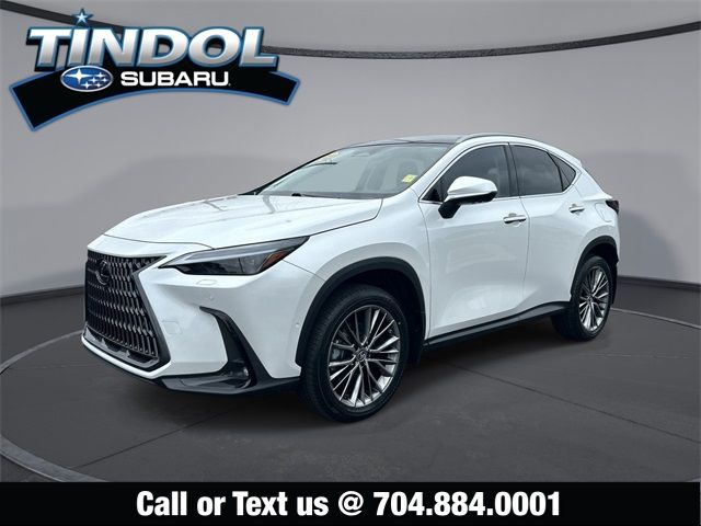 2023 Lexus NX 350h Luxury