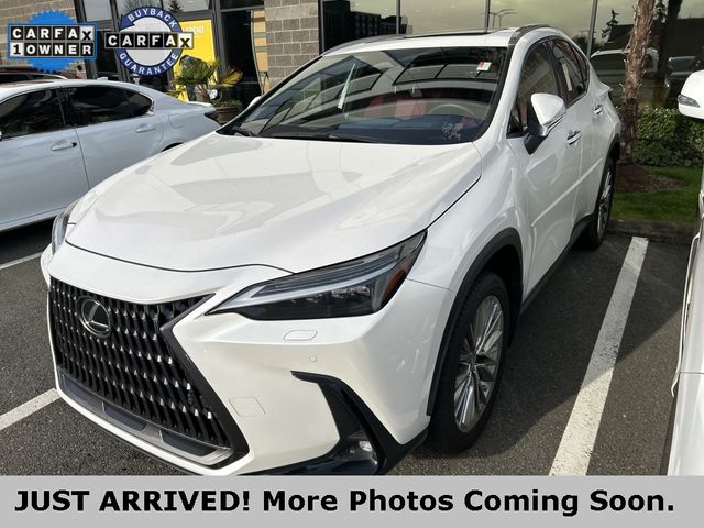 2023 Lexus NX 350h Luxury