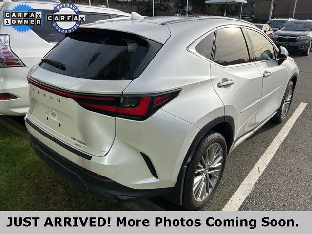 2023 Lexus NX 350h Luxury