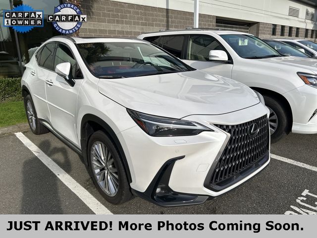 2023 Lexus NX 350h Luxury