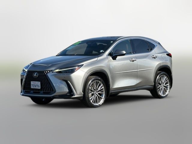 2023 Lexus NX 350h Luxury