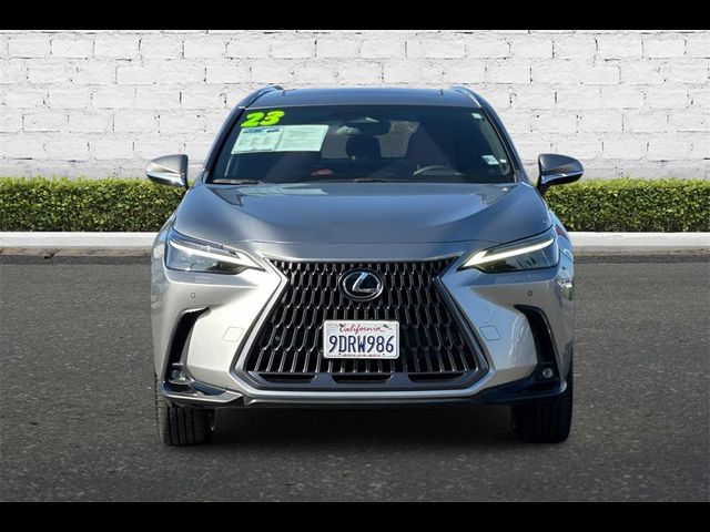 2023 Lexus NX 350h Luxury