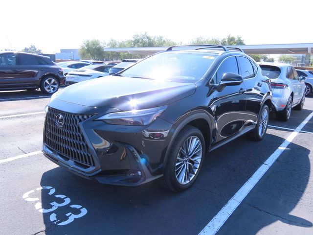 2023 Lexus NX 350h Luxury