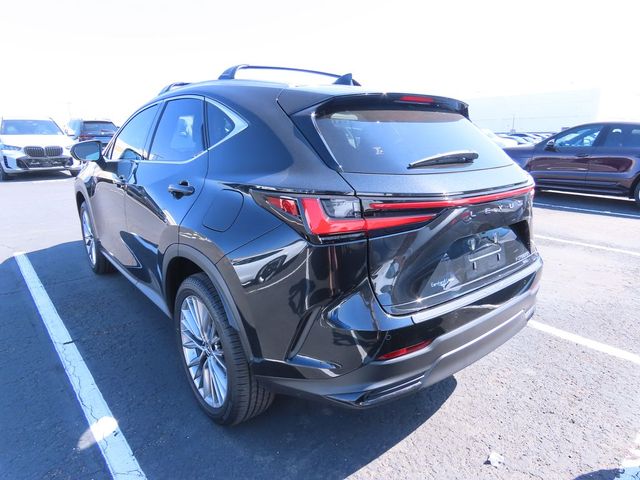 2023 Lexus NX 350h Luxury