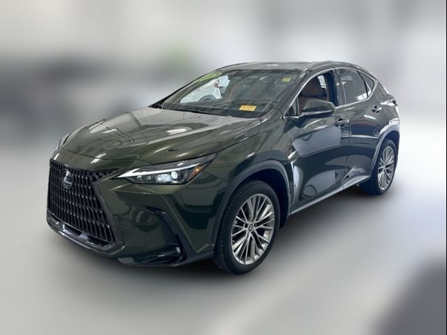 2023 Lexus NX 350h Premium