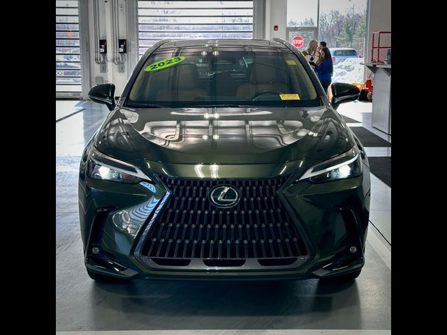 2023 Lexus NX 350h Premium