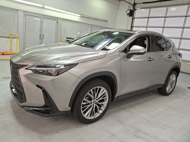 2023 Lexus NX 350h Premium