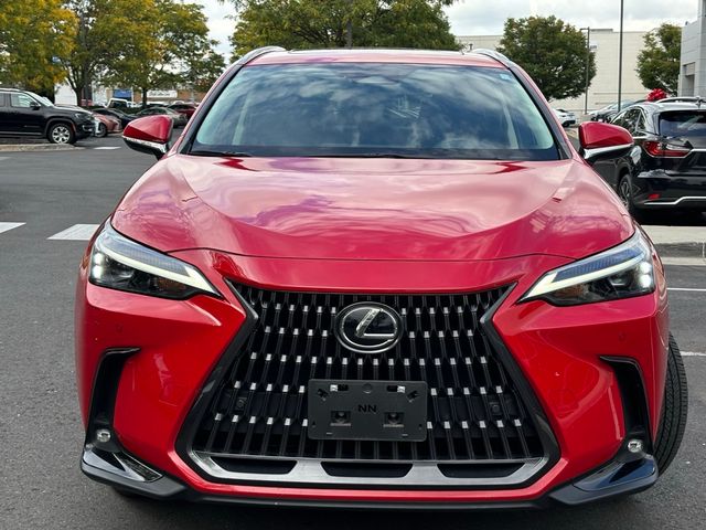 2023 Lexus NX 350h Premium