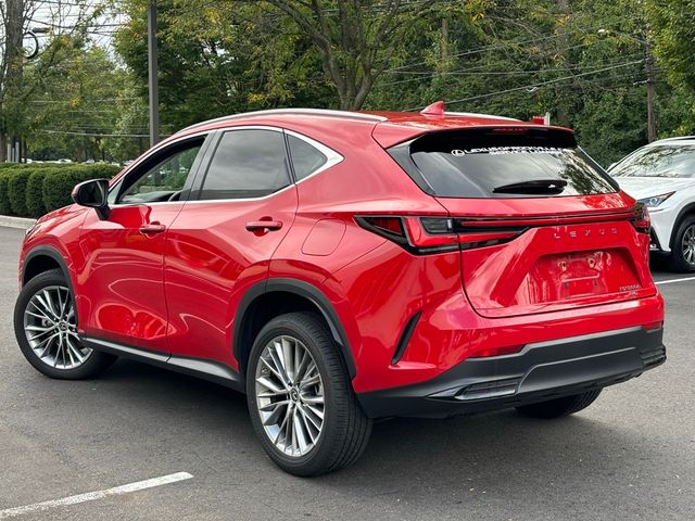 2023 Lexus NX 350h Premium