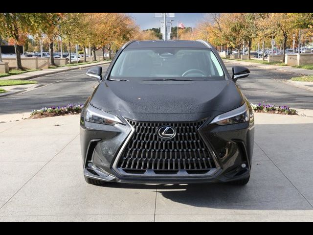 2023 Lexus NX 350h Premium