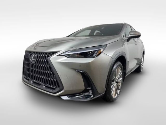 2023 Lexus NX 350h Premium