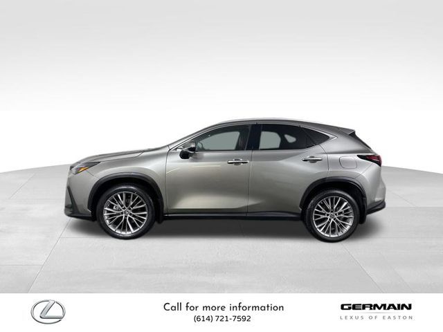 2023 Lexus NX 350h Premium