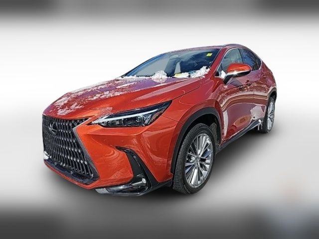 2023 Lexus NX 350h Premium