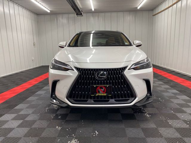 2023 Lexus NX 350h Premium