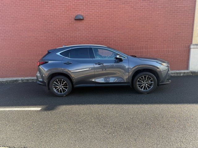 2023 Lexus NX 350h Premium