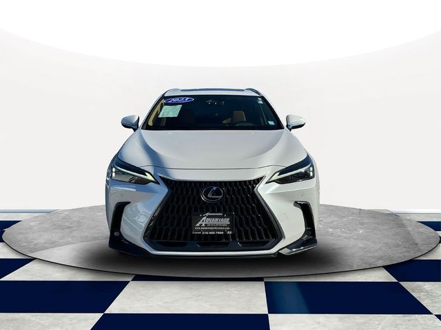 2023 Lexus NX 350h Premium