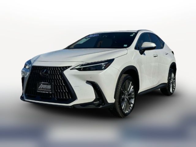 2023 Lexus NX 350h Premium