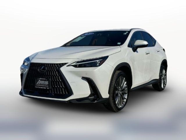 2023 Lexus NX 350h Premium