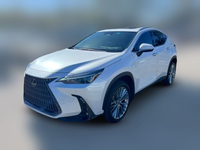 2023 Lexus NX 350h Premium