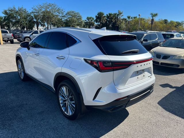 2023 Lexus NX 350h Premium