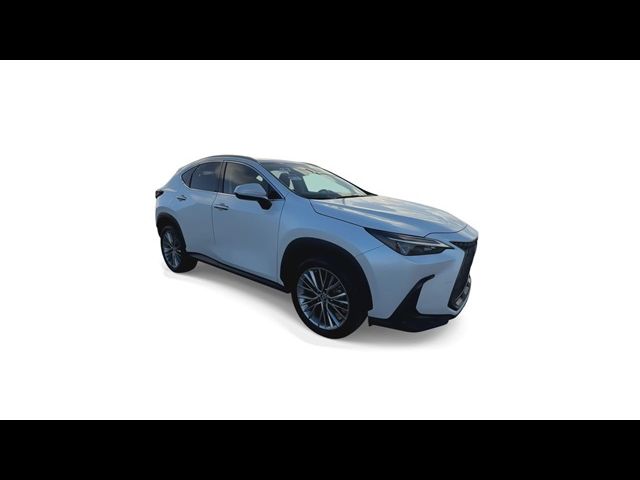 2023 Lexus NX 350h Premium