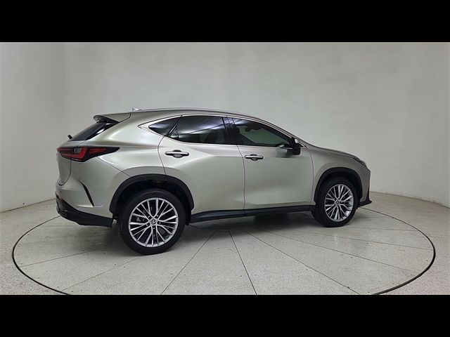 2023 Lexus NX 350h Premium