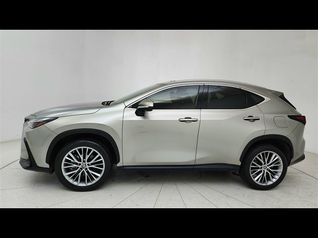 2023 Lexus NX 350h Premium