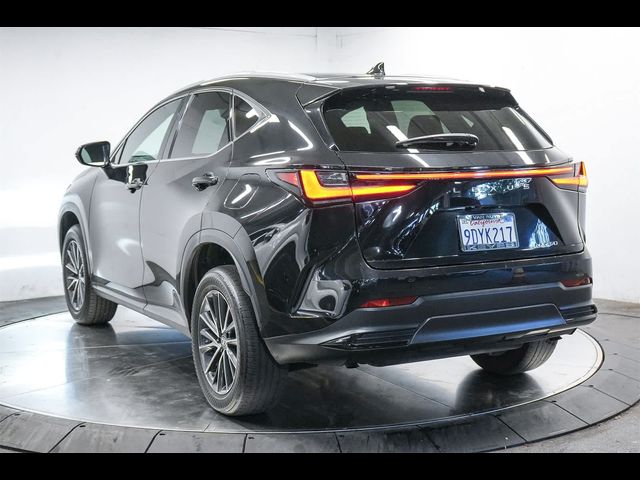 2023 Lexus NX 250