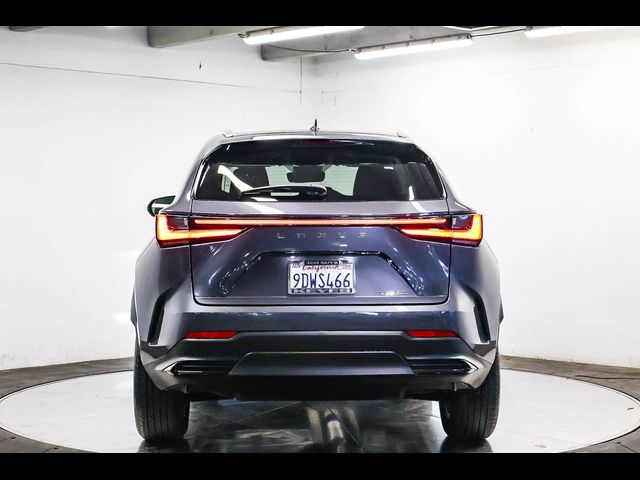 2023 Lexus NX 250