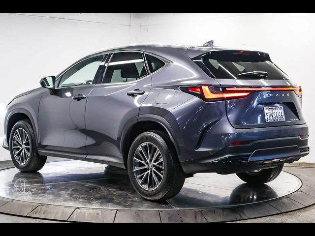 2023 Lexus NX 250