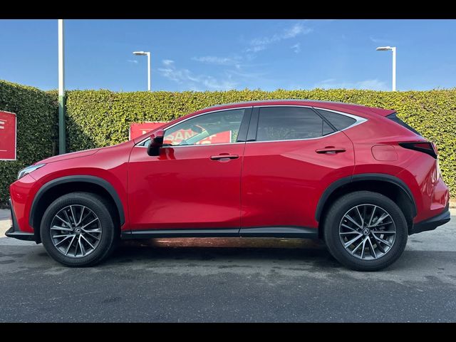 2023 Lexus NX 350