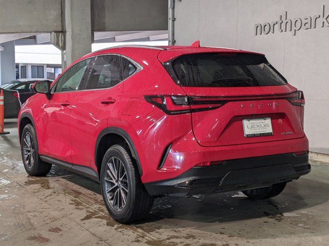 2023 Lexus NX 250