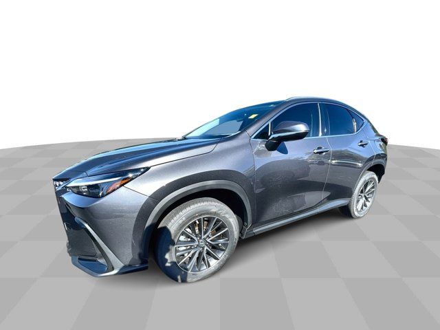 2023 Lexus NX 250