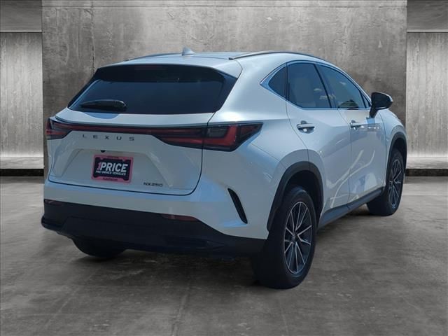 2023 Lexus NX 250