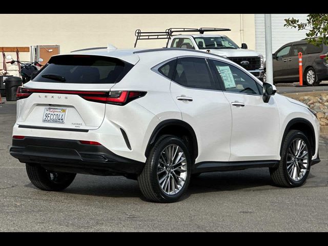 2023 Lexus NX 350 Luxury