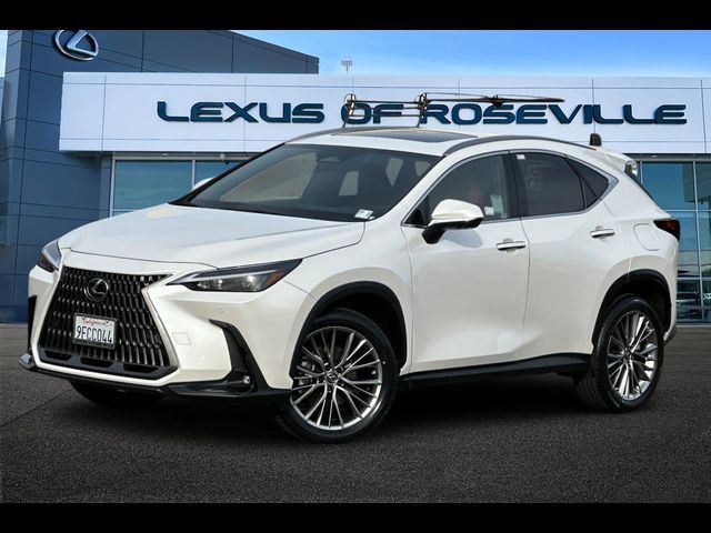 2023 Lexus NX 350 Luxury