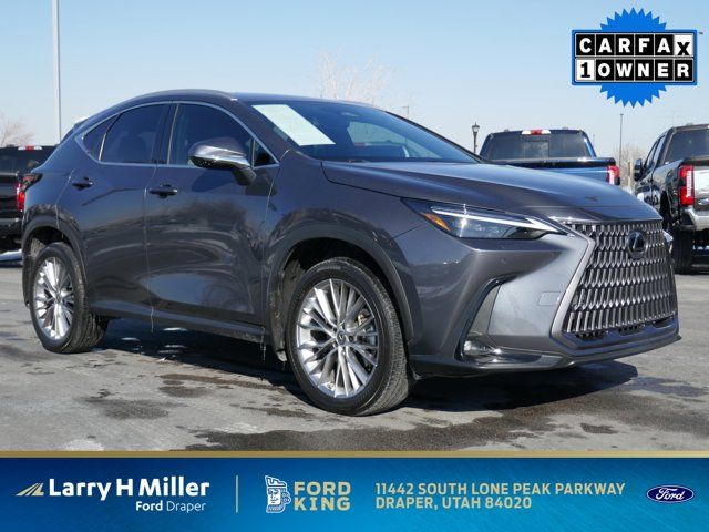 2023 Lexus NX 350 Luxury