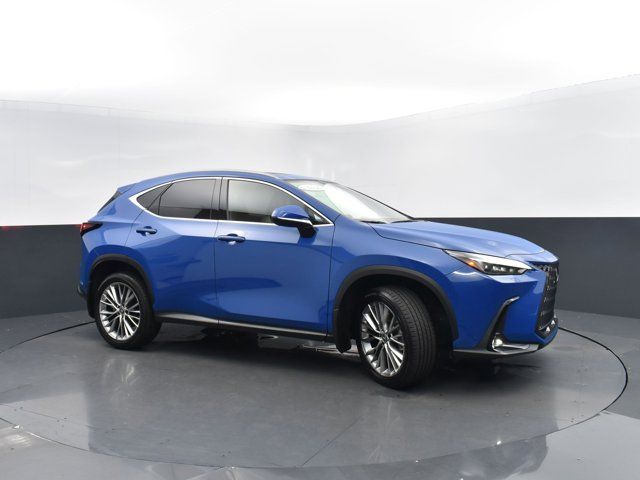 2023 Lexus NX 350 Luxury