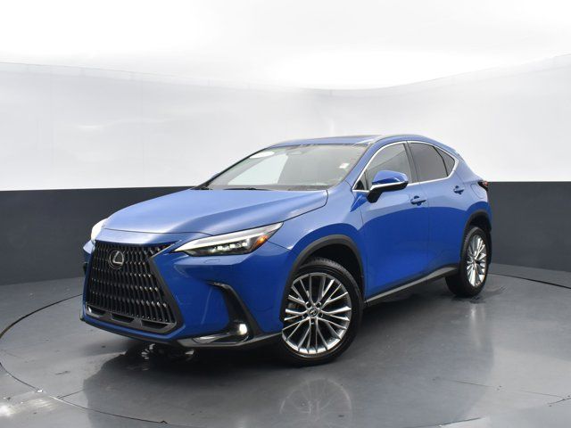 2023 Lexus NX 350 Luxury