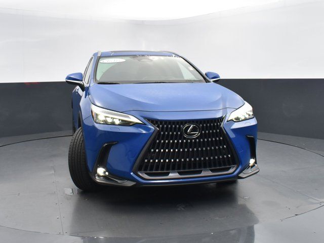 2023 Lexus NX 350 Luxury