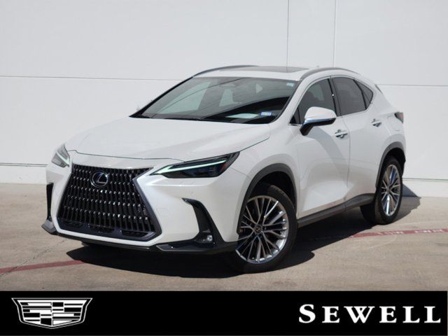 2023 Lexus NX 350 Luxury