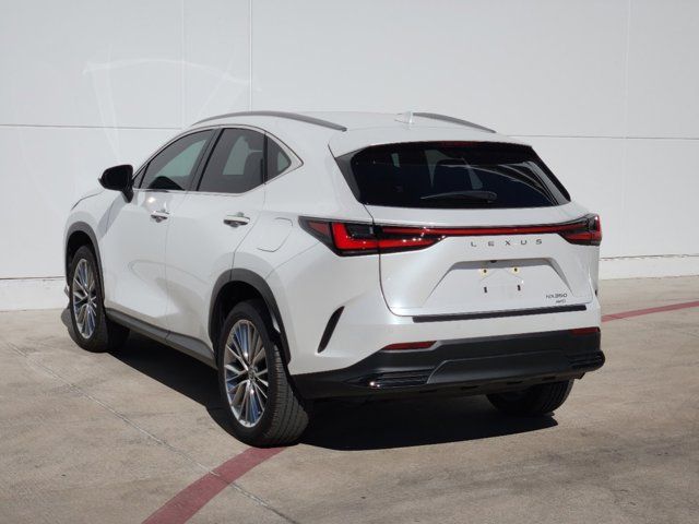 2023 Lexus NX 350 Luxury