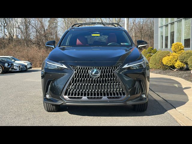 2023 Lexus NX 350 Luxury