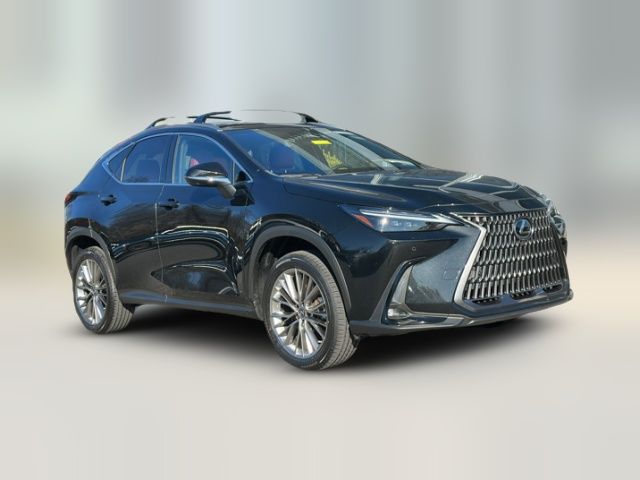 2023 Lexus NX 350 Luxury