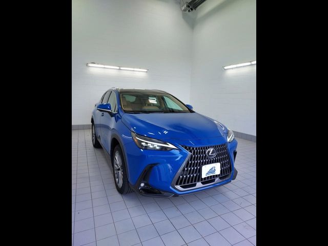 2023 Lexus NX 350 Luxury